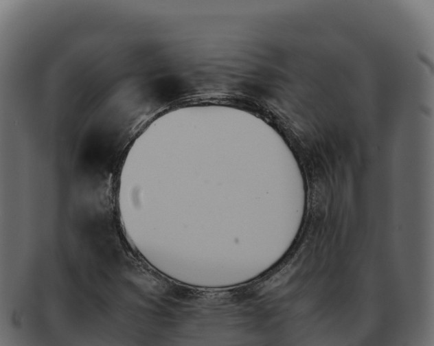 X0000092291353200710041421