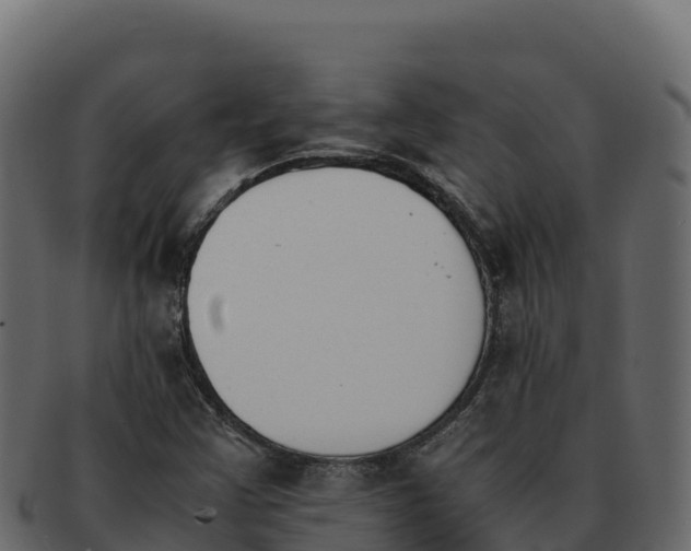 X0000092291355200710041421