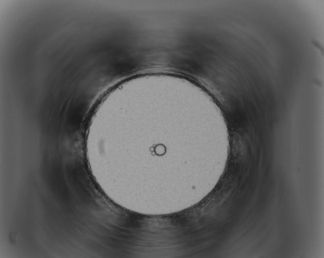 X0000092291356200710041421