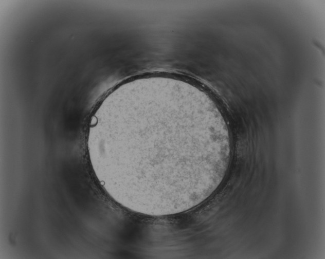 X0000092291359200710041421