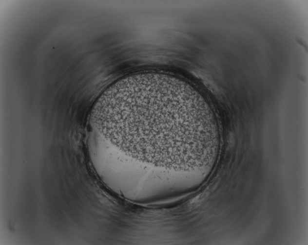 X0000092291361200710041421