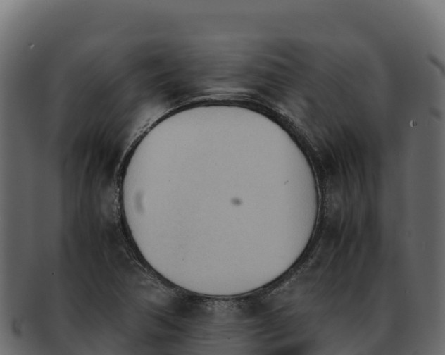 X0000092291362200710041421