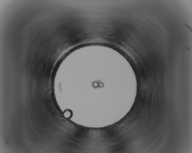 X0000092291364200710041421