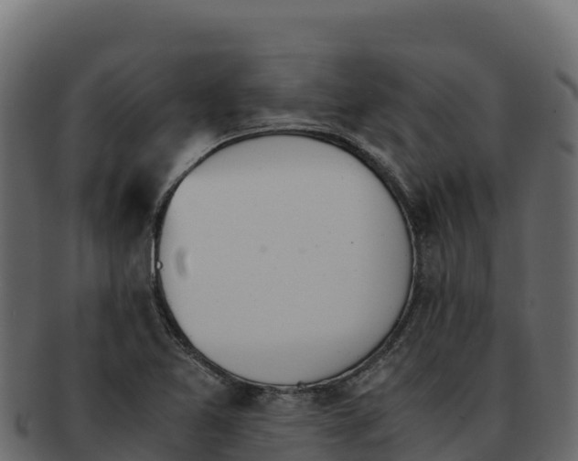 X0000092291365200710041421