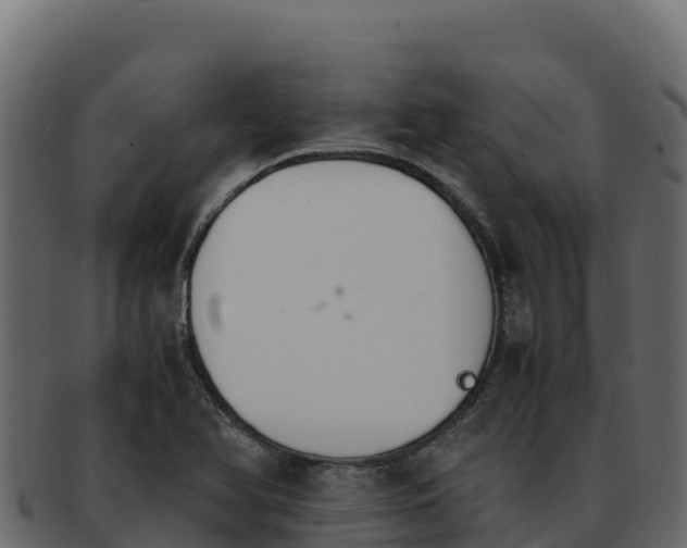 X0000092291366200710041421