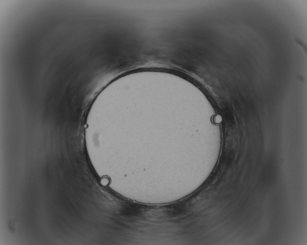 X0000092291367200710041421