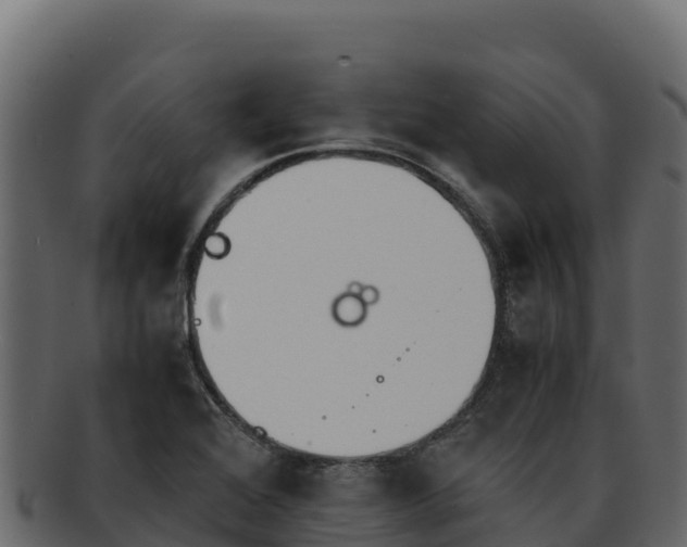 X0000092291368200710041421