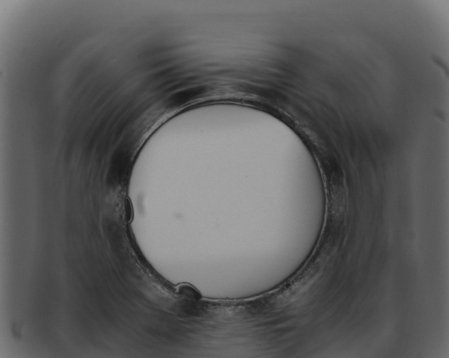 X0000092291369200710041421