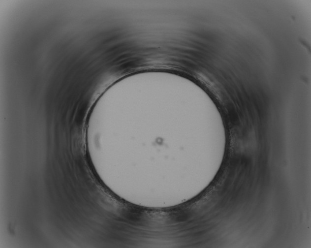 X0000092291370200710041421