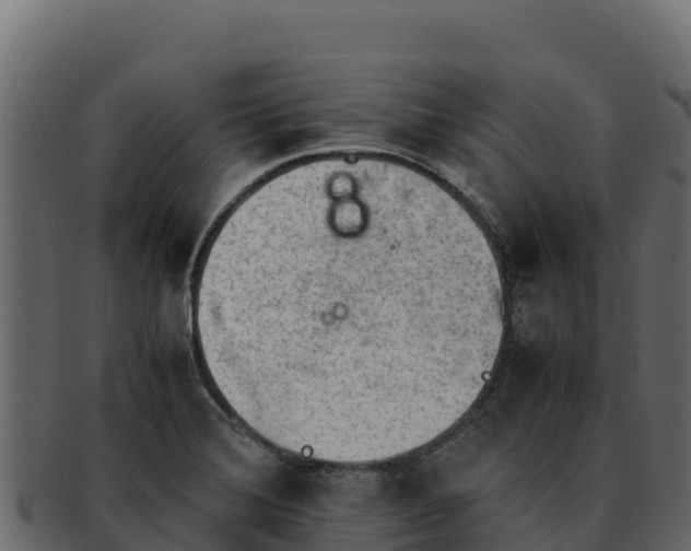 X0000092291372200710041421