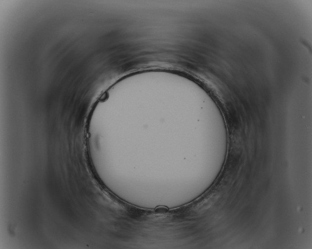 X0000092291373200710041421