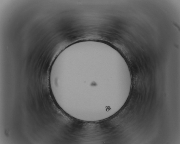 X0000092291374200710041421