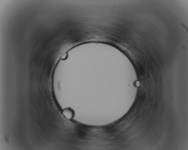 X0000092291375200710041421