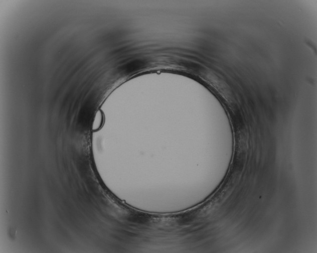 X0000092291377200710041421