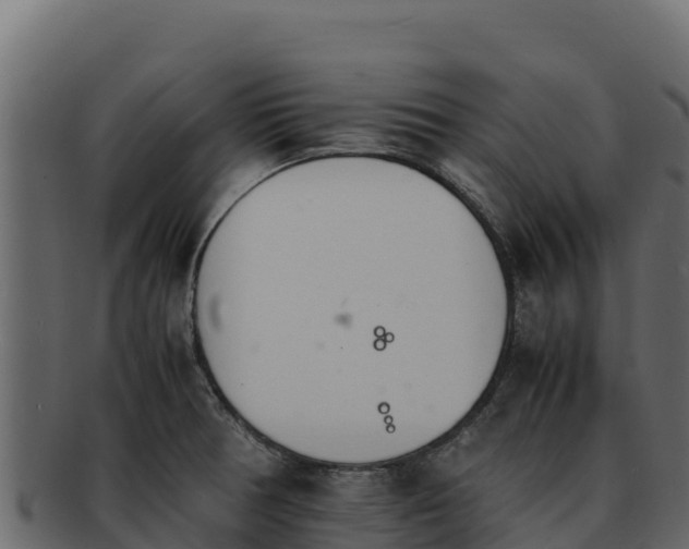 X0000092291378200710041421