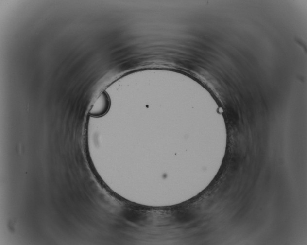 X0000092291379200710041421