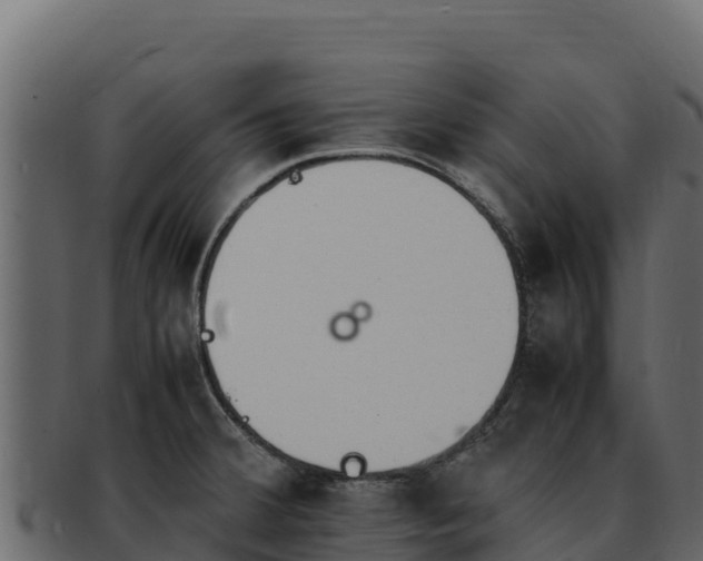 X0000092291380200710041421