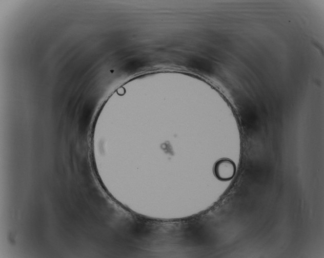 X0000092291381200710041421