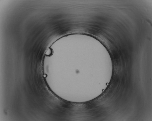 X0000092291382200710041421