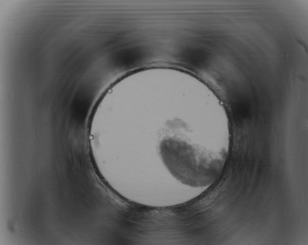 X0000092291384200710041421