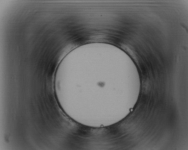 X0000092291386200710041421