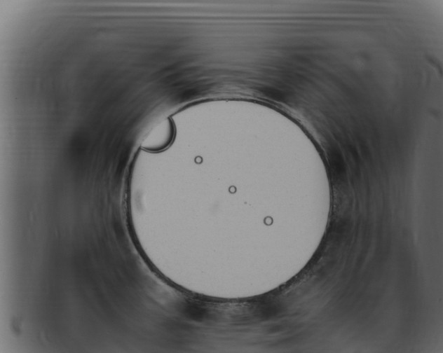 X0000092291387200710041421