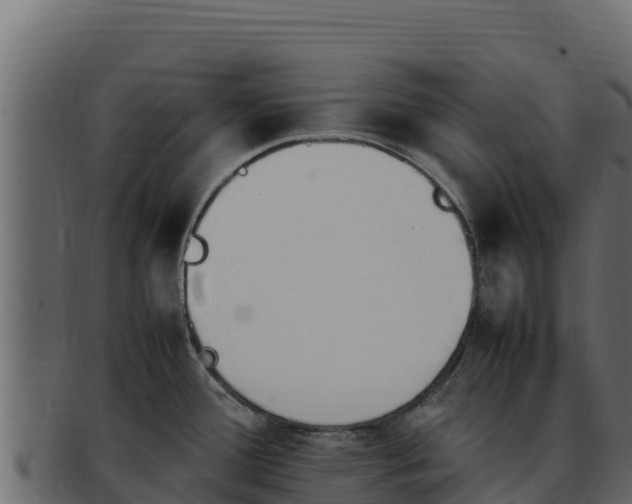 X0000092291388200710041421