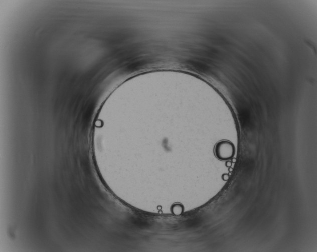 X0000092291389200710041421