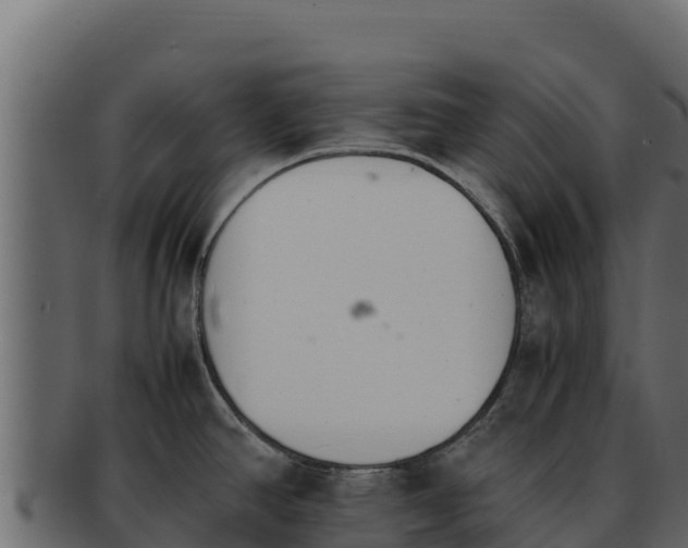 X0000092291390200710041421