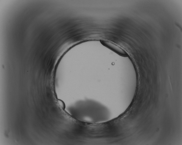 X0000092291392200710041421