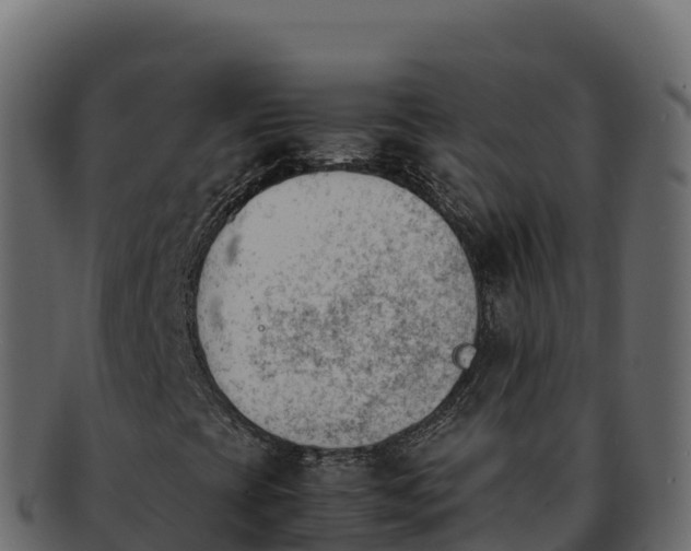 X0000092291393200710041420