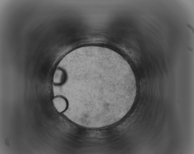 X0000092291405200710041420