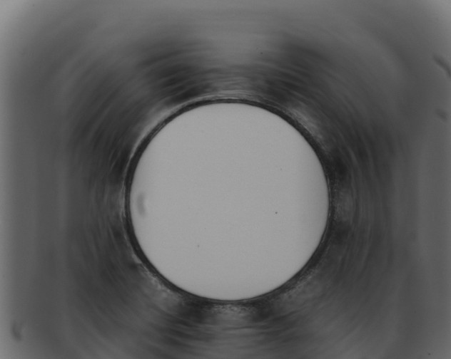 X0000092291420200710041421