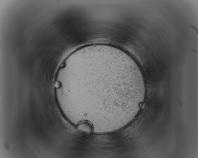 X0000092291421200710041421