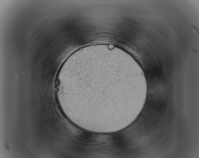 X0000092291423200710041421