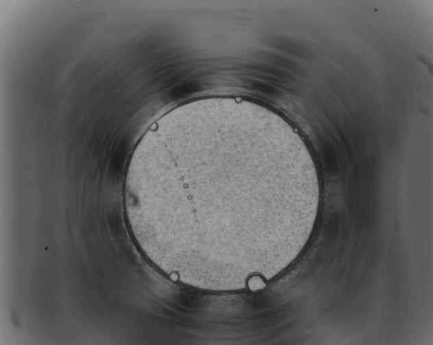 X0000092291425200710041421