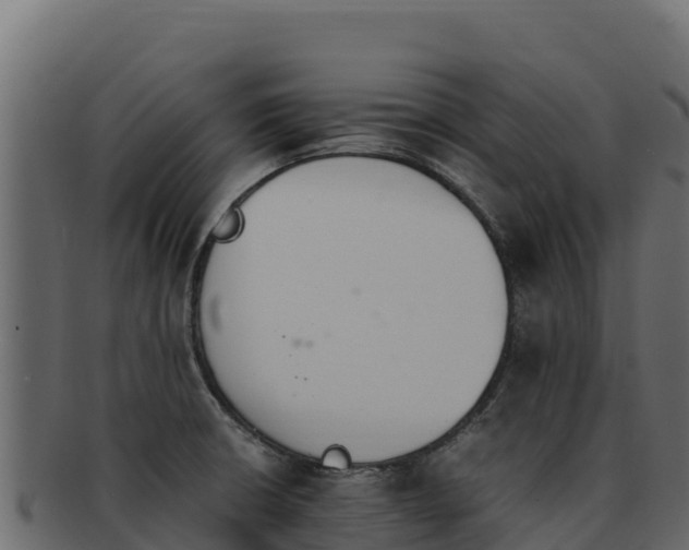 X0000092291426200710041421