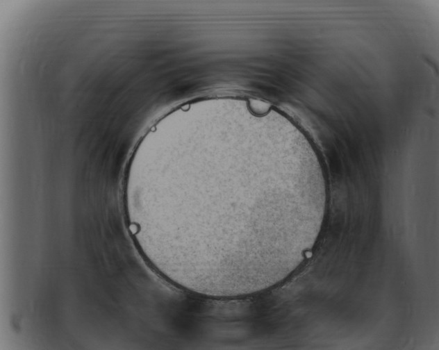 X0000092291429200710041421