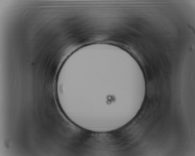 X0000092291432200710041421