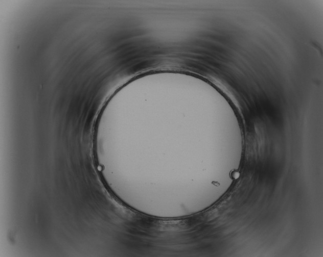 X0000092291437200710041421