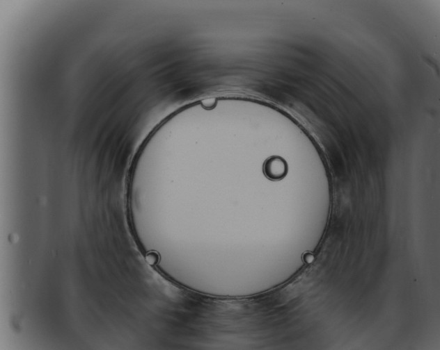 X0000092291438200710041421