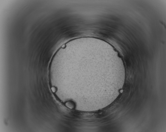 X0000092291439200710041421