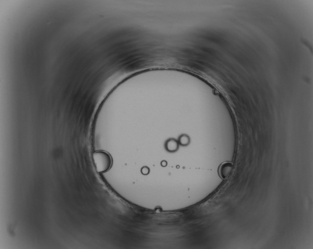 X0000092291440200710041421