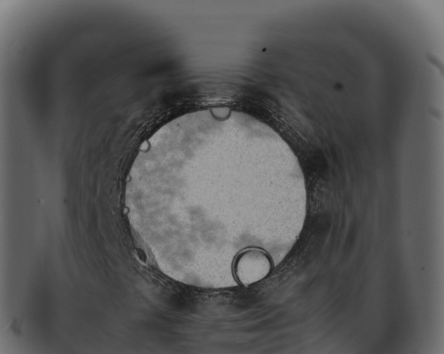 X0000092291441200710041420