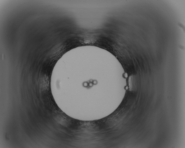 X0000092291443200710041420