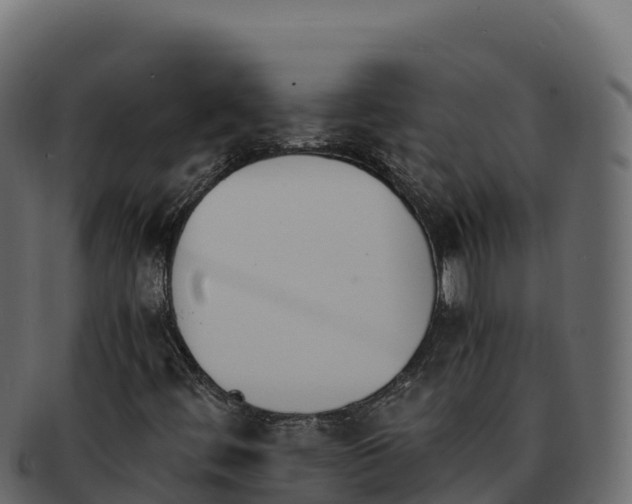 X0000092291444200710041420