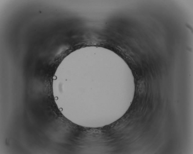 X0000092291446200710041420