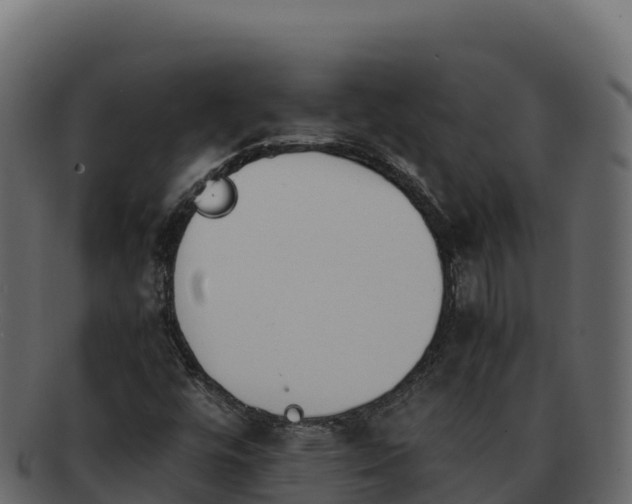 X0000092291448200710041420