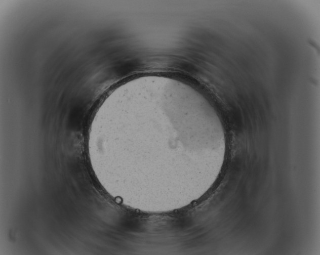 X0000092291449200710041420