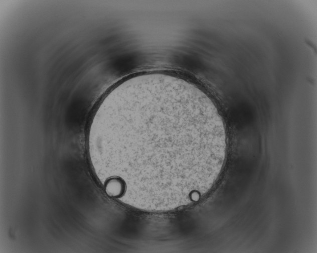 X0000092291457200710041420